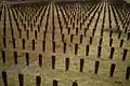 A symbolic representation of the more than 25,000 patients buried in unmarked graves throughout the hospital grounds