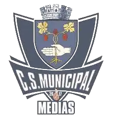 CSM Mediaș logo