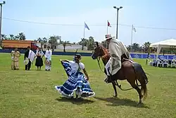Peruvian paso in a show with a lady during a contest