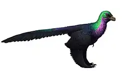 Life restoration of Caihong juji, with colors