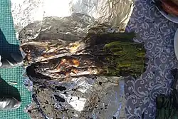 Calçots in Catalonia