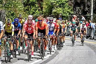 Peloton on the Camillien Houde climb