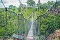 Canopy walkway