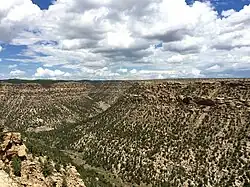 Canyon cut by Mancos River