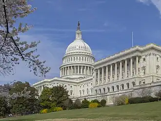 A view of the U.S. Capitol from a short distance away. To the left is a tree branch, and in the center is the Capitol's tall dome. Atop the dome is a brown bronze statue. Trees line the bottom of the image.