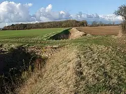 Earthworks of Car Dyke in Park Wood, 175m east of King Street (A15)