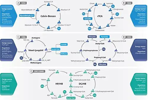 Overview of the six known biological carbon fixation cycles