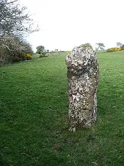The petrified remains of the Llandyfrydog Bible Thief