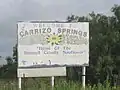 Like the state of Kansas, Carrizo Springs identifies itself with the sunflower, Dimmit County-style