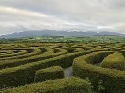 Peace maze