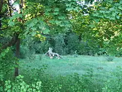 The remains of the 18th / 19th century manor park in Celejów