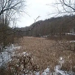 Thumbnail image of Lewis Wetzel WMA entrance sign