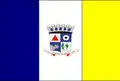 Flag of Central de Minas