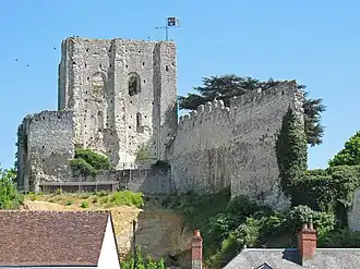 Château de Montrichard
