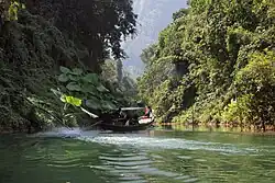 Rich flora, Lake shore