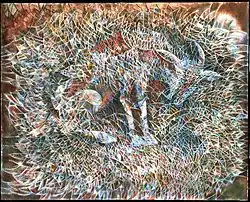 &quot;Chivo&quot; (Goat)