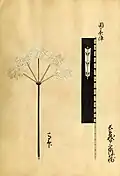Chōsokabe Morichika