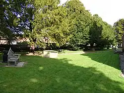 St Mary's Churchyard in Overton and one of its Yew Trees.
