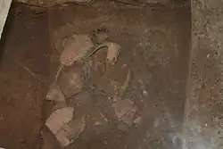 Bone remains indicating the custom of animal burial