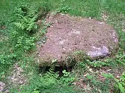 Cist and associated mound in Langridge Wood, 410&nbsp;m north west of Treborough Lodge