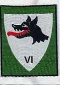 Insignia of CJF 6.