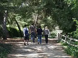 Northeast section of the perimeter trail