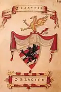 Coat of arms of the Oblačić family according to the Korenić-Neorić Armorial (1595).
