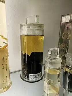 A "very large dark beak" of Mesonychoteuthis hamiltoni on display at the NHM's Darwin Centre