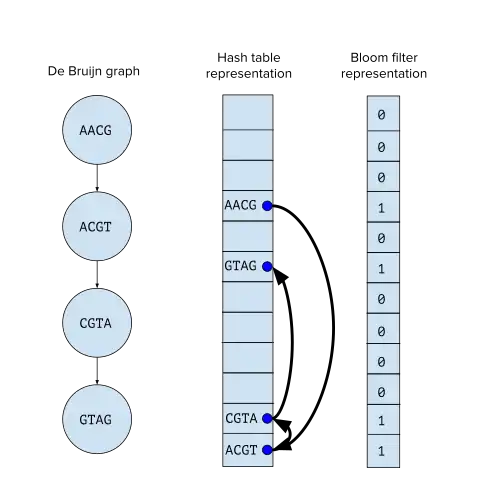 Bloom filters use less memory than hash tables for de Bruijn graphs but do not preserve edge information