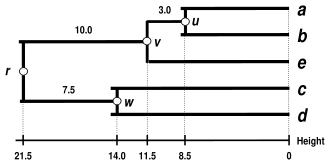 WPGMA Dendrogram 5S data
