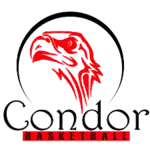 Condor logo
