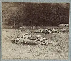 Confederate Dead at the Rose Woods[18]