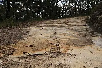 Convict-built road, Mount McQuoid, Great North Road, Bucketty, NSW.
