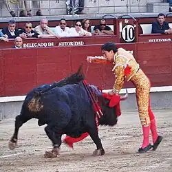 Tercio de muerte: The matador pierces the bull's heart with his sword.
