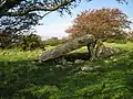 Cors-y-gedol burial chamber