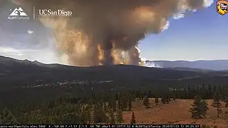 A counter-rotating vortex pair produced by the Mill Fire in 2024. Note the bifurcated plume.