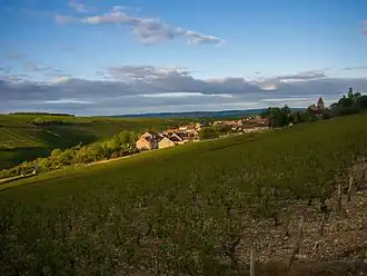 A general view of Courgis