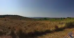 Photo of an open grassland with dry golden-brown grass