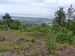 Iron Age enclosure within Briton Ferry Woods