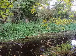 Walls of Gresham Castle