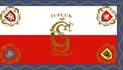 Czechoslovak Legion in France Flag 21st Regiment[11]