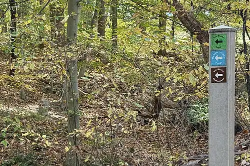 Trail at the Tri-State Monument