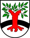 Coat of arms of Surwold