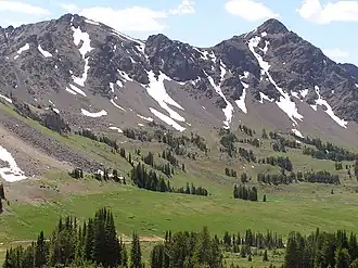 Daisy Pass near Cooke City, Montana