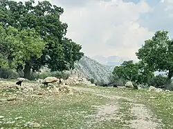 A local access road in Dasht-e Barm