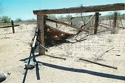 Nate Salsbury's corral.