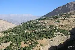 Morning View from the East