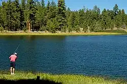 A fisherman casting a line into the lake from grassy shoreline