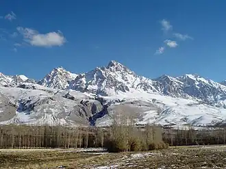 Ice covered mountains at the book, some trees at the centre and shrubs and ice at the front