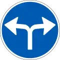 D11.8: Mandatory direction